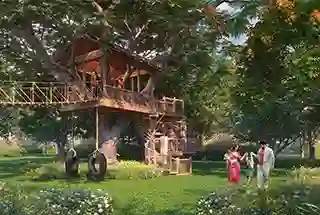 Treehouse